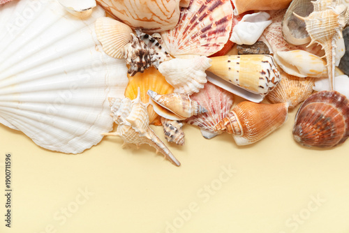 Many different sea shells o...