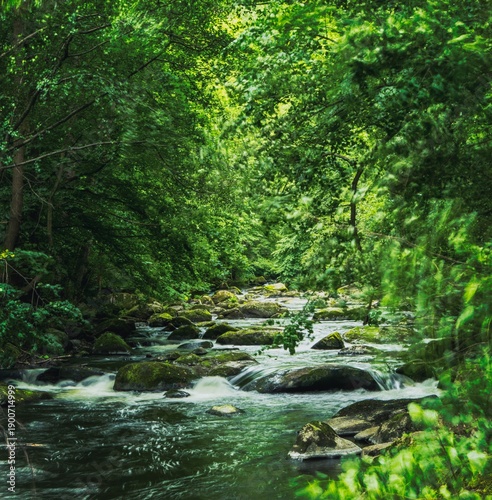 
A photograph of the course of the wild Bode river in a pristine natural landscape in the Harz Mountains.