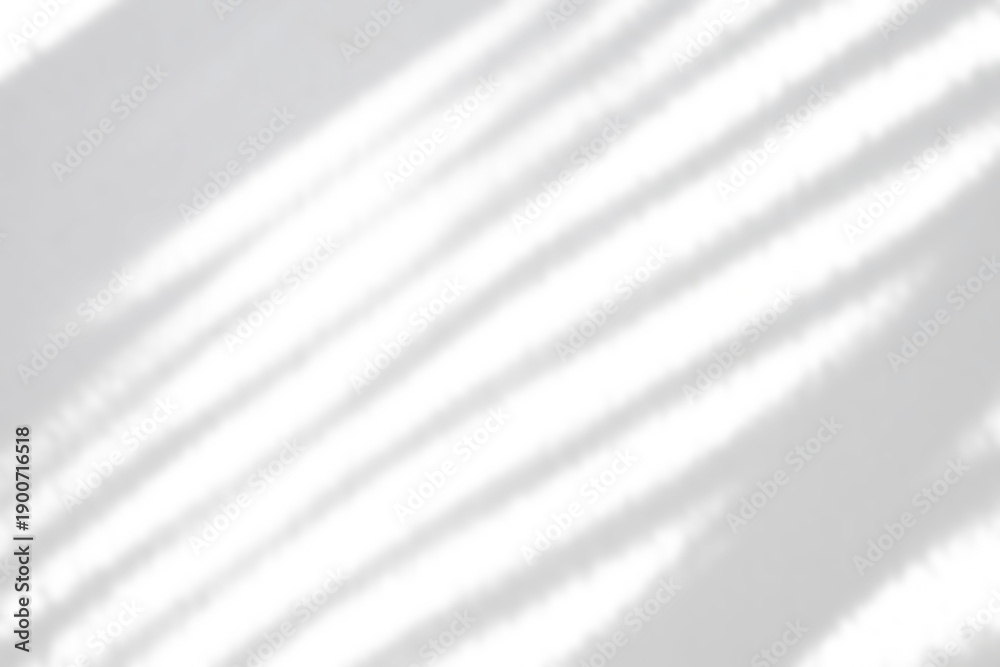 Fototapeta premium Abstract natural tree branch leaves shadow on white wall background