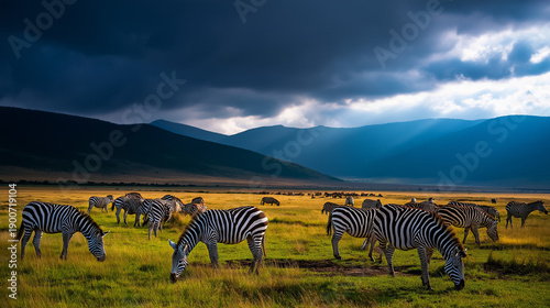 AI generator images of  herd of zebras in Serengeti National Park, Tanzania, during the Great Migration. This vast savanna grassland has been a prime location for filming many famous wildlife document