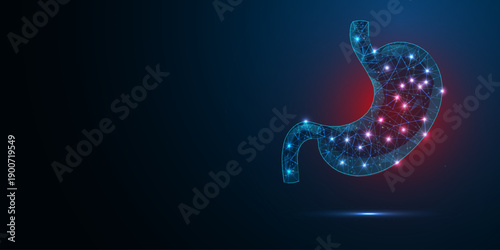 Abstract 3D gastric illustration human stomach organ geometric low poly wireframe style. Concept care, stomach pain, science, and technology. Vector illustration.