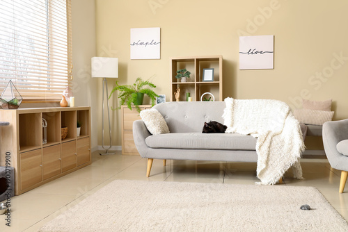 Cute black cat sitting on g...