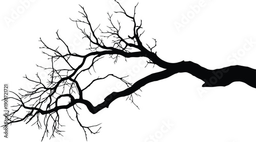 A long, bare tree branch silhouette with many small twigs extends across a stark white canvas