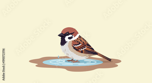 Small bird with brown and white feathers stands by a puddle