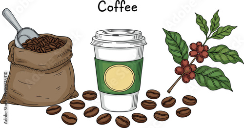 Professional coffee vector set featuring roasted beans in burlap sack paper cup and fresh coffee plant branch for cafe.