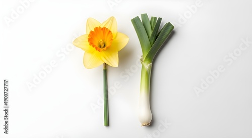Neutral Studio Image of Cultural Botanical Symbols