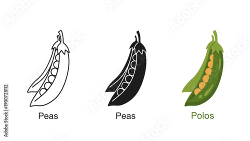 A diagram showing different types of peas and pod Vector