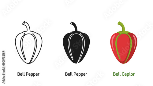 Variety of bell pepper illustrations in different colors Vector