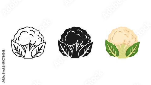 Cauliflower icons in different colors and styles Vector