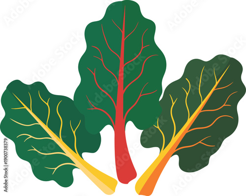 Rainbow swiss chard leaves with colorful red and yellow stems isolated on transparent background