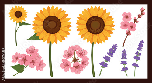 Set of decorative sunflowers cherry blossoms and lavender flowers flat vector illustration