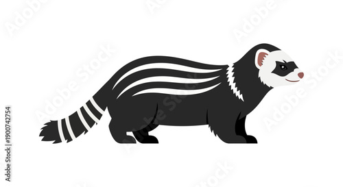 Illustration of a striped skunk standing in profile with distinctive black and white markings.