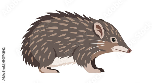 Illustration of a small brown hedgehog with spiky fur walking.