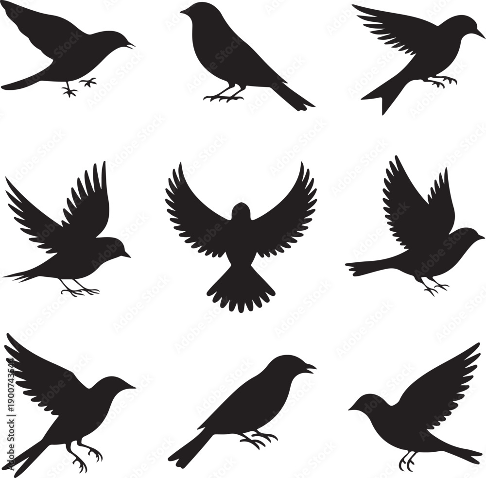 Fototapeta premium Bird Silhouettes Collection Various Poses Flying and Perching Stock Media