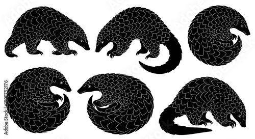 Vector silhouette illustration of pangolins (trenggiling) in various poses, including walking, standing on hind legs, curled into a defensive ball, and resting