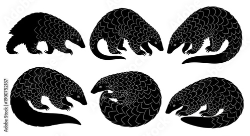Vector silhouette illustration of pangolins (trenggiling) in various poses, including walking, standing on hind legs, curled into a defensive ball, and resting