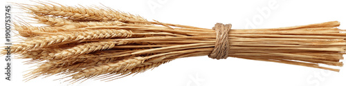A? of light brown wheat stalks tied with twine