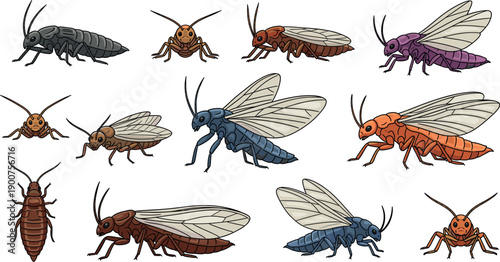 Set of realistic flying insect vector illustrations in different poses representing entomology, wildlife and nature concepts