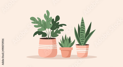 Three potted plants with green leaves on a light background