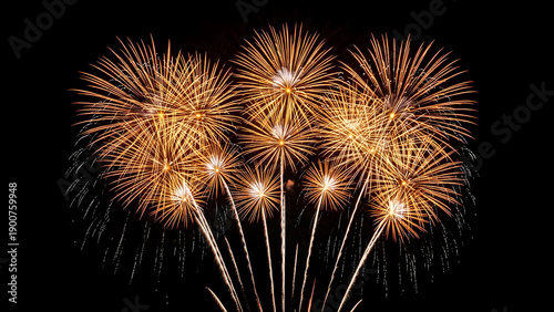 Vibrant fireworks display against a dark night sky