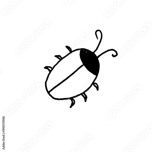 A macro vector illustration of a brown stag beetle isolated on white, showing the antenna and wildlife details of this coleoptera insect pest in a nature-focused entomology closeup