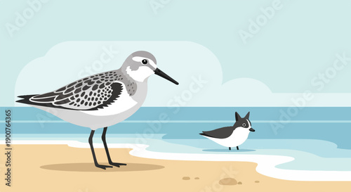 Two shorebirds stand near the ocean on a sandy beach with blue water