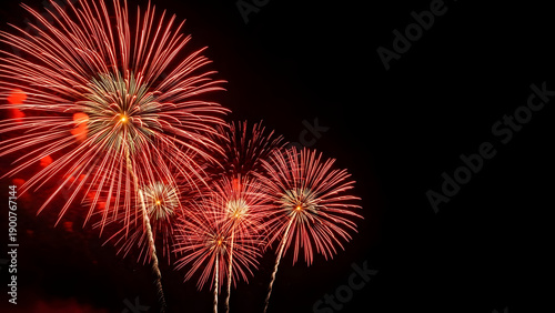 Vibrant red fireworks exploding in night sky
