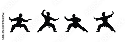 china kungfu pose silhouette collections