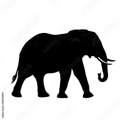 Black silhouette elephant walking isolated on white background, side view illustration for design use easily.