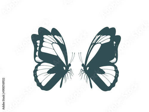 Black and white illustration of two butterflies facing each other