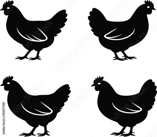 Collection Of Four Black Chicken Silhouettes Representing Poultry Farming Organic Livestock Agriculture And Farm Animal Icons For Rural Industry Branding Healthy Food And Gastronomy