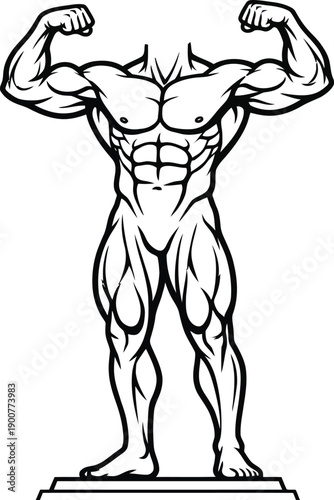 Full body muscular male physique illustration showing athletic anatomy and bodybuilding pose on display pedestal