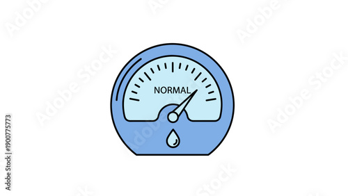 Oil Pressure Gauge Meter.
