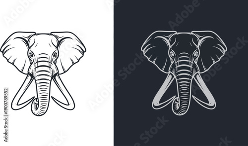 Detailed illustration of an elephant head with tusks, presented in two styles: black outline on white and white outline on dark background.