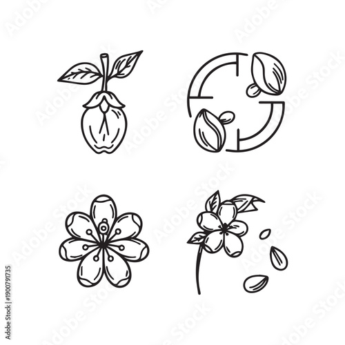  Hand Drawn Engraving Style Floral Vector Illustrations Of Botanical Flower Buds.