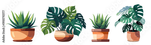 Varied potted indoor plants set