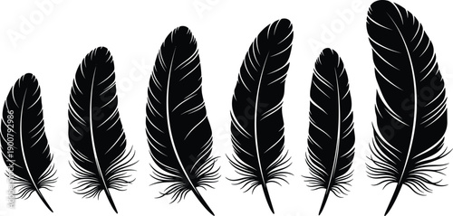 Black Bird Feather Silhouette Vector Set Featuring Various Plumage Shapes and Detailed Quill Textures for Nature Inspired Graphic Design Elements,