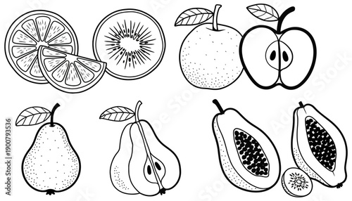 Botanical fruit illustration featuring black and white citrus, kiwi, apple, pear, and papaya slice, designed as organic vector set for healthy food, nutrition, and natural lifestyle visuals.