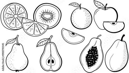 Botanical fruit illustration featuring black and white citrus, kiwi, apple, pear, and papaya slice, designed as organic vector set for healthy food, nutrition, and natural lifestyle visuals.