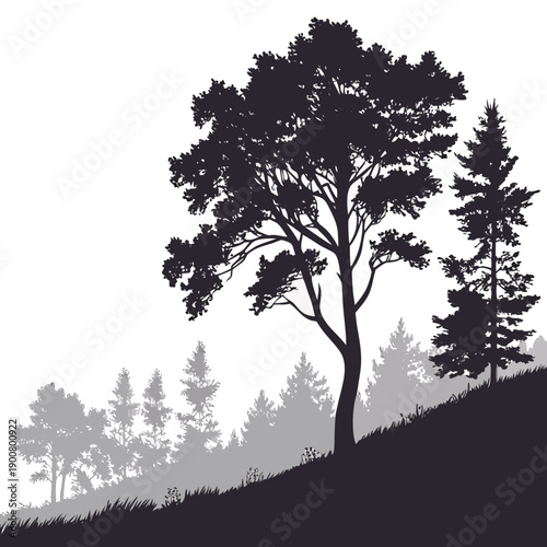 Silhouette of trees on a hillside against a clear sky at sunset.