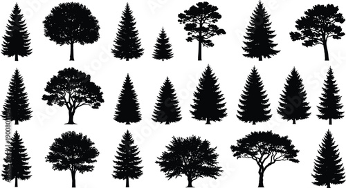 Black silhouette vector set of pine, fir, and oak trees, evergreen forest landscape design elements, nature woodland collection, isolated, timber.