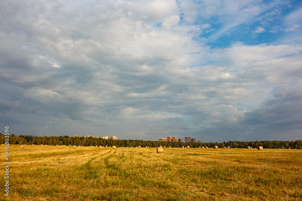 Obraz premium Golden harvest field stretches beneath a dramatic sky with scattered clouds, showing hay bales ready for collection near a distant forest line and city buildings in the background