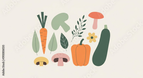 vector illustration of a vegetable
