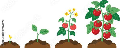 Spring Flowers and Growing Tree Vector Illustration