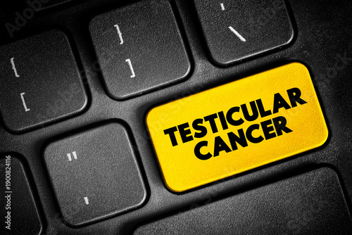 Bilde på lerret Testicular Cancer is 1 of the less common cancers and mostly affect men between