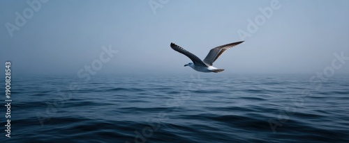 The graceful seagull soars above the shimmering sea a tireless wanderer of endless horizons.