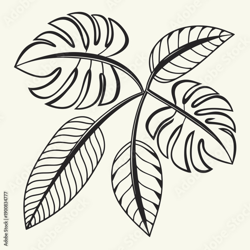 A detailed illustration of a leaf with multiple intricate veins and serrated edges