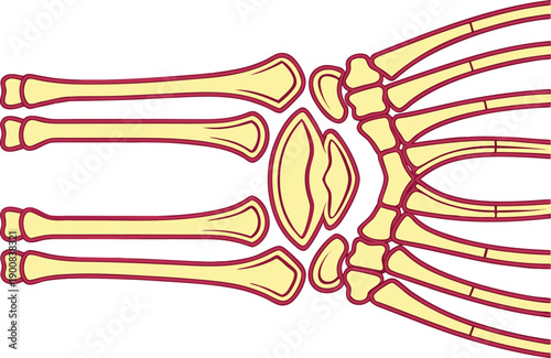 Joint Pain Health Illustration. Medical Joint Pain Concept Design. Arthritis Joint Pain Diagram. Knee Joint Pain Illustration. Joint Pain Treatment Concept. Human Body Joint Pain Illustration