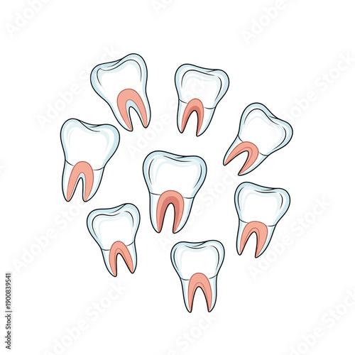 A colorful illustration depicts multiple teeth with exposed pulp showcasing dental anatomy a striking silhouette high quality professional detailed modern elegant stylish