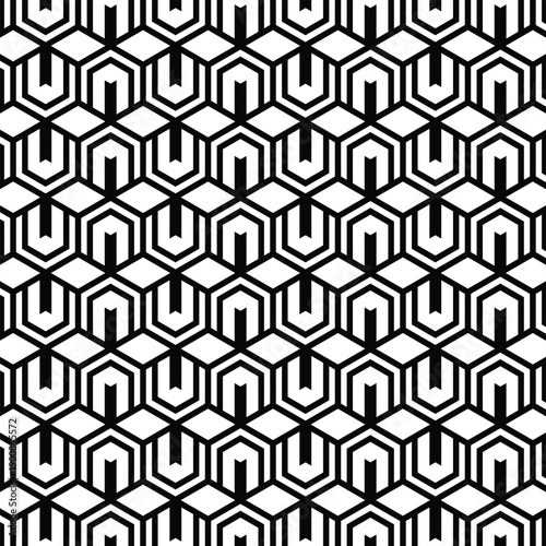 Geometric Hexagonal Linear Pattern with Abstract Black and White Interlocking Shapes